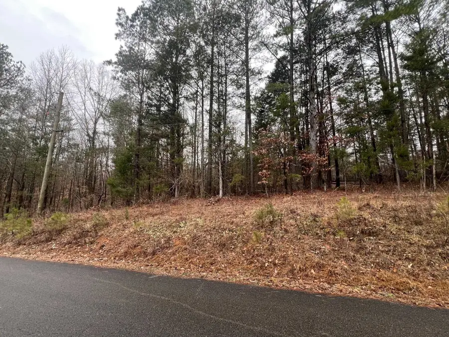 156 IRON HORSE TRL, Parsons, TN 38363 - Image #2