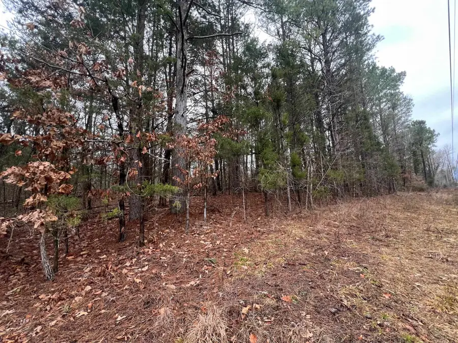 156 IRON HORSE TRL, Parsons, TN 38363 - Image #3