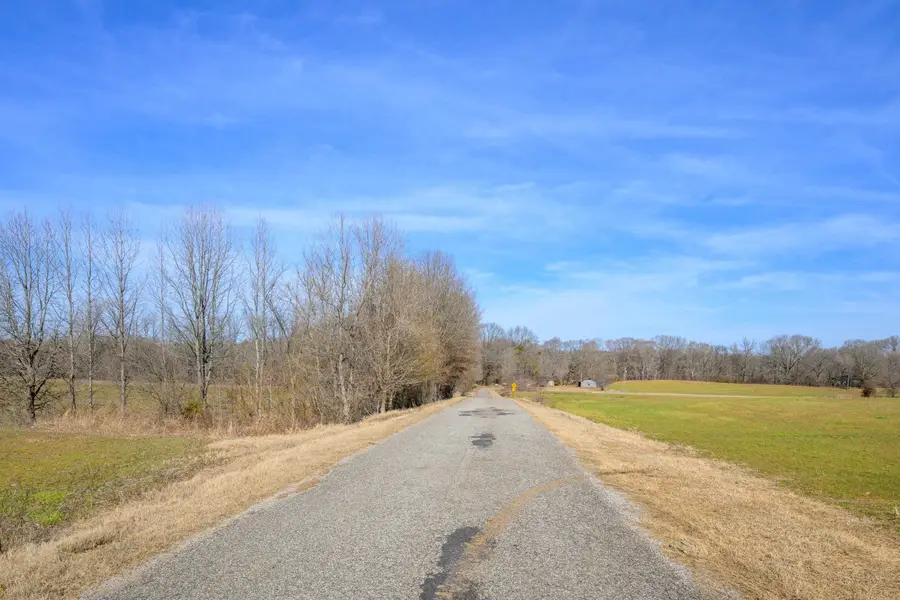 MONTGOMERY RD, Burlison, TN 38015 - Image #2