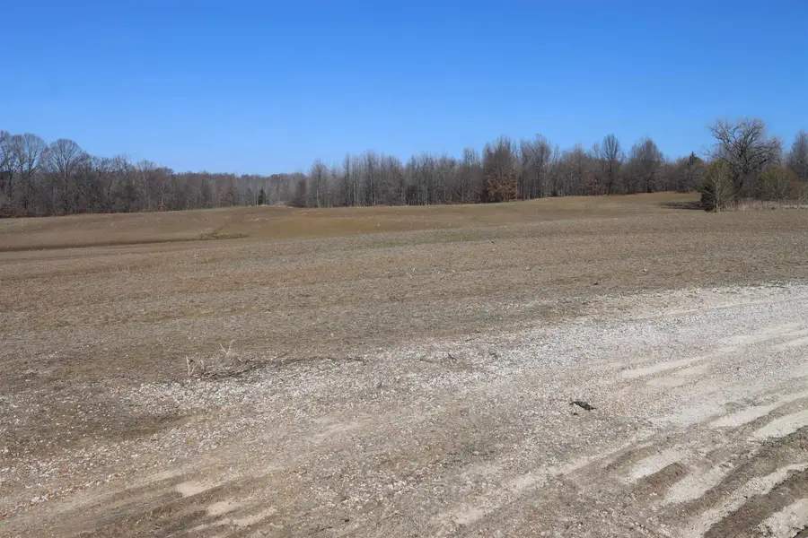 LOT 2 HWY 51 HWY N, Ripley, TN 38063 - Image #2