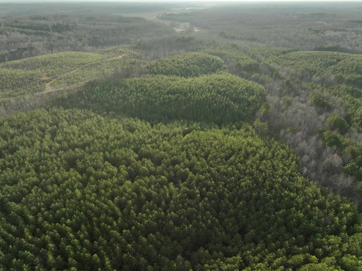 RACE PATH RD, Stantonville, TN 38379 - Image #1