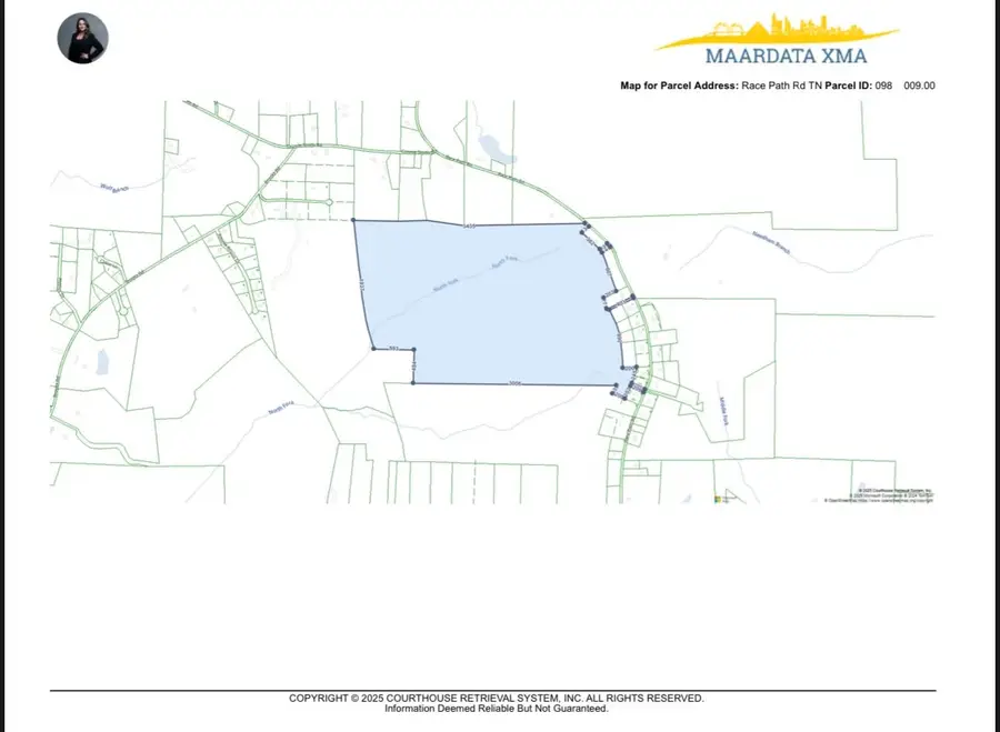 RACE PATH RD, Stantonville, TN 38379 - Image #3