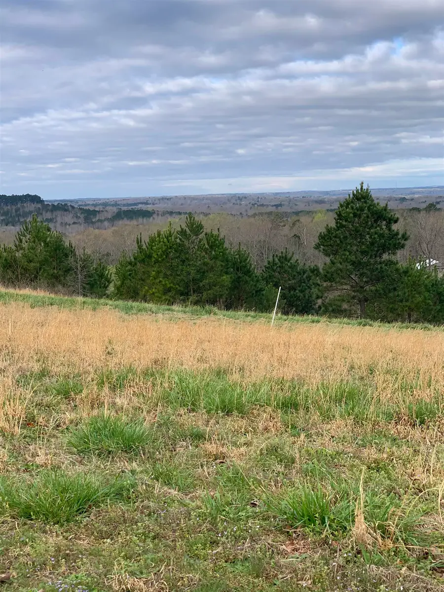 TURKEY KNOB RD, Counce, TN 38326 - Image #2