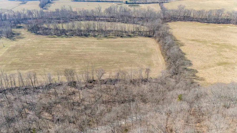 4 OLD WEATHERFORD CREEK RD, Lutts, TN 38471 - Image #2