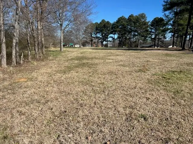 00 BLACK PLACE/BRAMBLEWOOD DR, Savannah, TN 38372 - Image #1