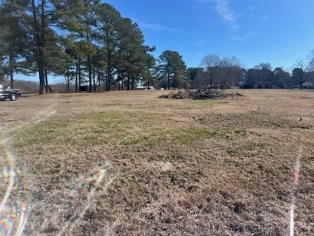 00 BLACK PLACE/BRAMBLEWOOD DR, Savannah, TN 38372 - Image #2