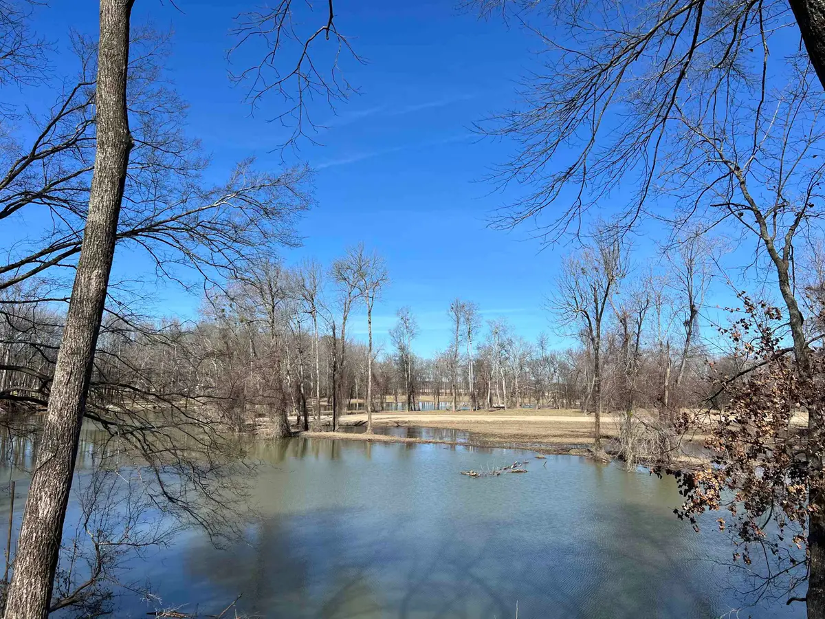 650 ELIZABETH LN, Savannah, TN 38372 - Image #1