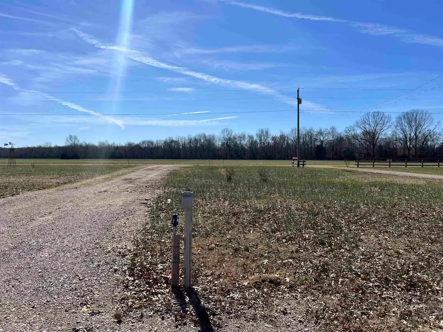 650 ELIZABETH LN, Savannah, TN 38372 - Image #3