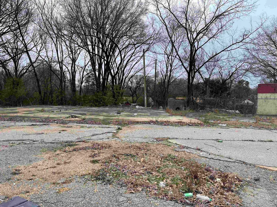 3131 BARRON AVE, Memphis, TN 38111 - Image #3