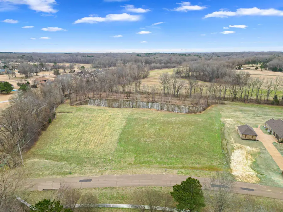 11737 STABLE VIEW DR, Eads, TN 38028 - Image #3