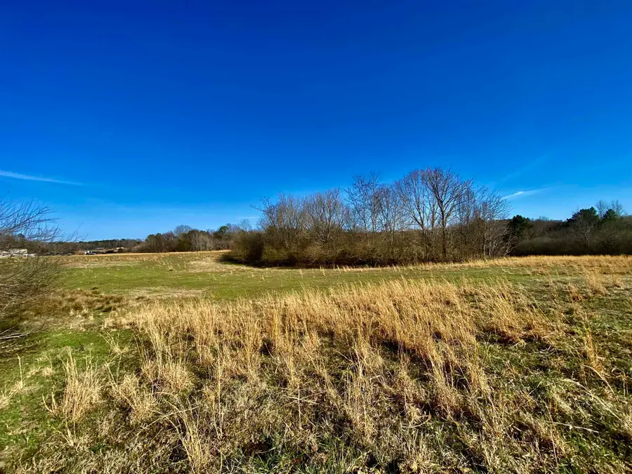 27.44 AC 64 HWY, Bolivar, TN 38008 - Image #3