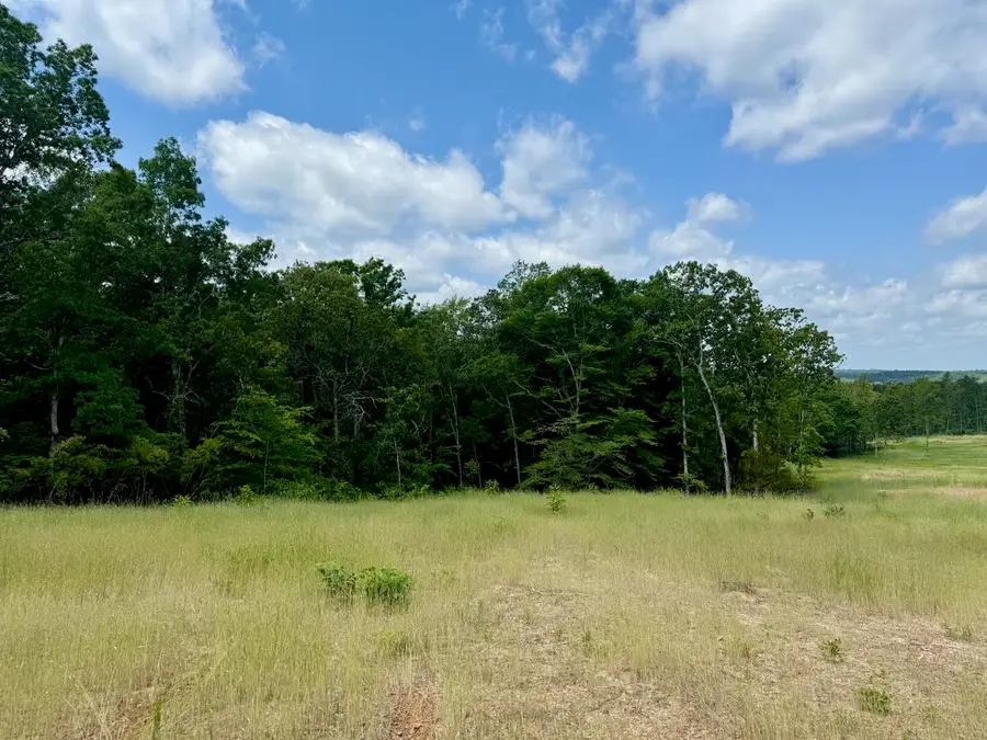 0 OLD ENON RD, Middleton, TN 38052 - Image #2