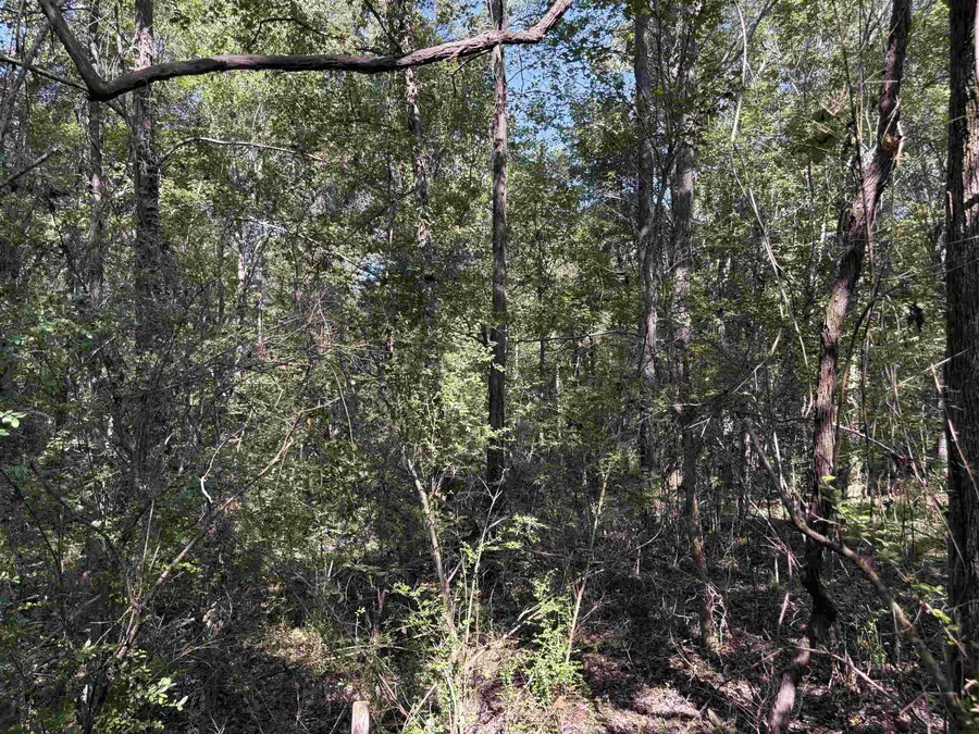 6234 WOODSTOCK CUBA RD, Millington, TN 38053 - Image #3