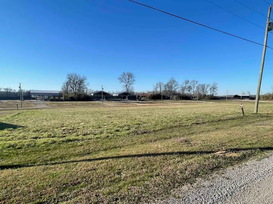 LOT 115 CATFISH LN, Crump, TN 38327 - Image #3