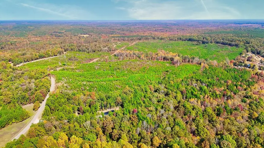 1 FERRELL RD #Tract 2, Middleton, TN 38052 - Image #2