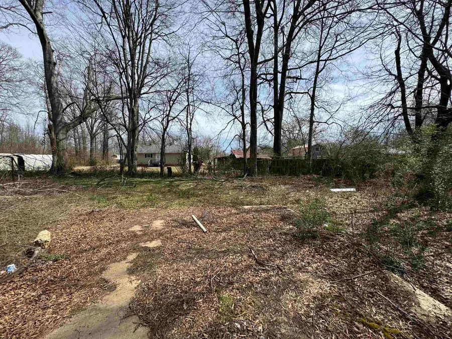 51 BLYTHE ST, Savannah, TN 38372 - Image #3