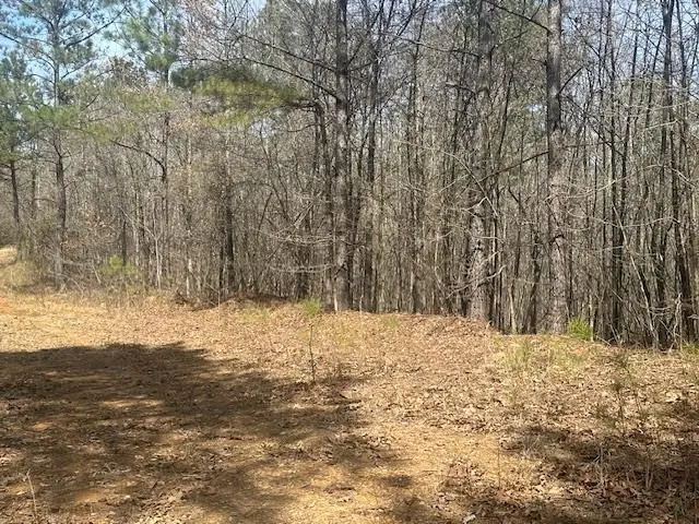 00 FISHER LN, Shiloh, TN 38376 - Image #3