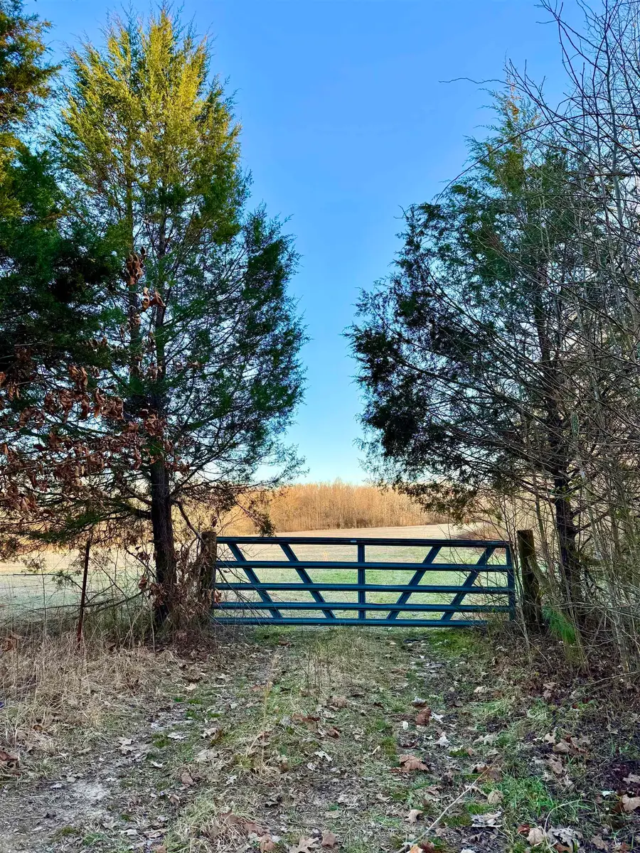 0 HIGHWAY 125 HWY, Toone, TN 38381 - Image #3