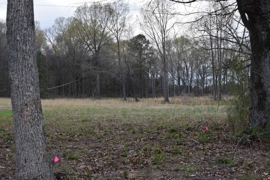 0 HWY 193 RD, Williston, TN 38060 - Image #3