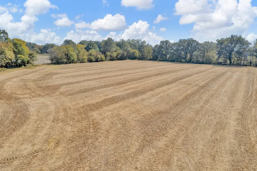 15870 70 HWY, Stanton, TN 38069-5214 - Image #3