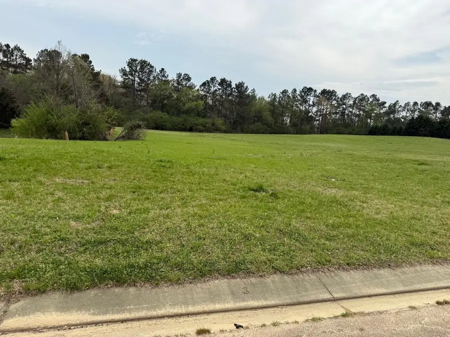 9943 LEGENDS DR, Collierville, TN 38139 - Image #2