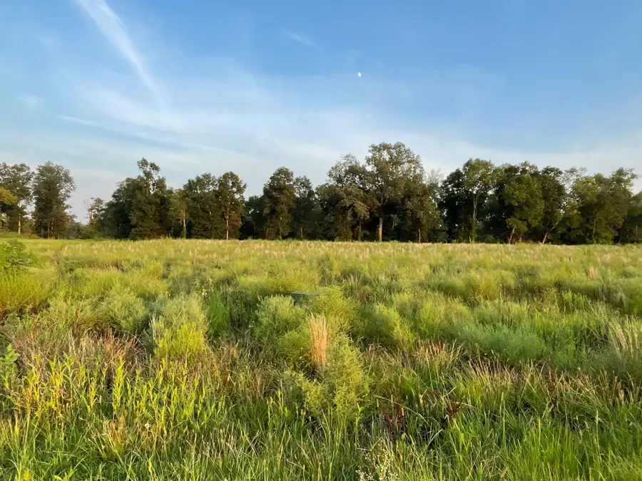 7085 CRAVENS RD, Savannah, TN 38372 - Image #2