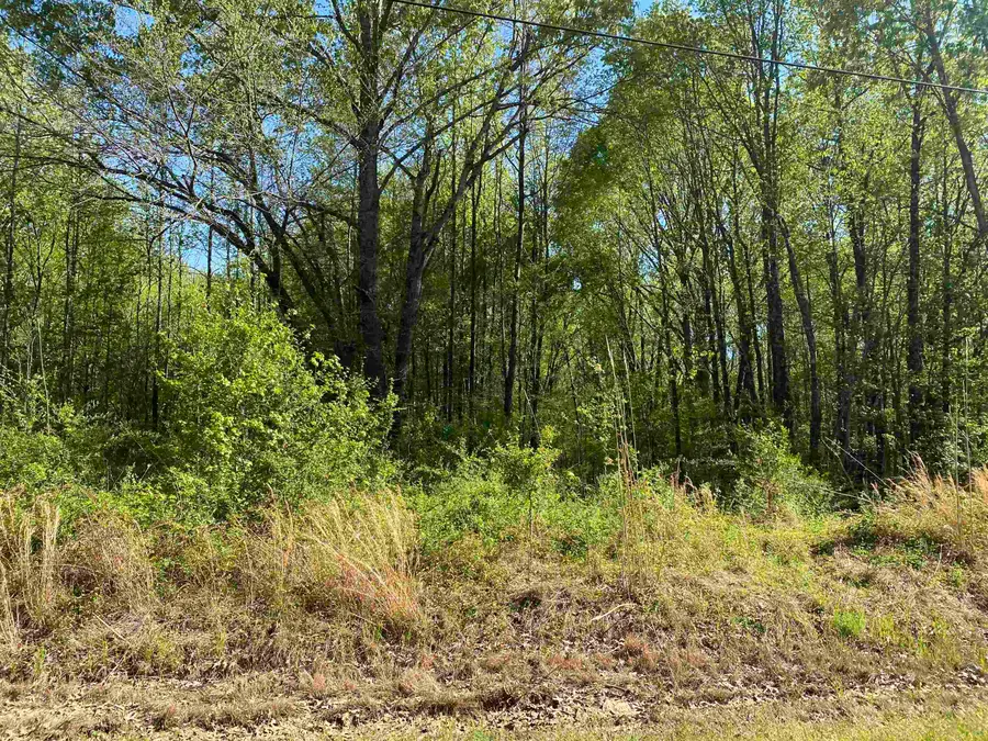 1.26 ACRES 193 HWY, Rossville, TN 38066 - Image #2