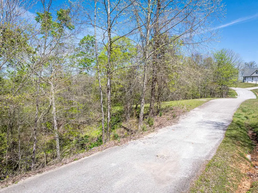 0 RIVER BREEZE DR, Sugar Tree, TN 38380 - Image #2