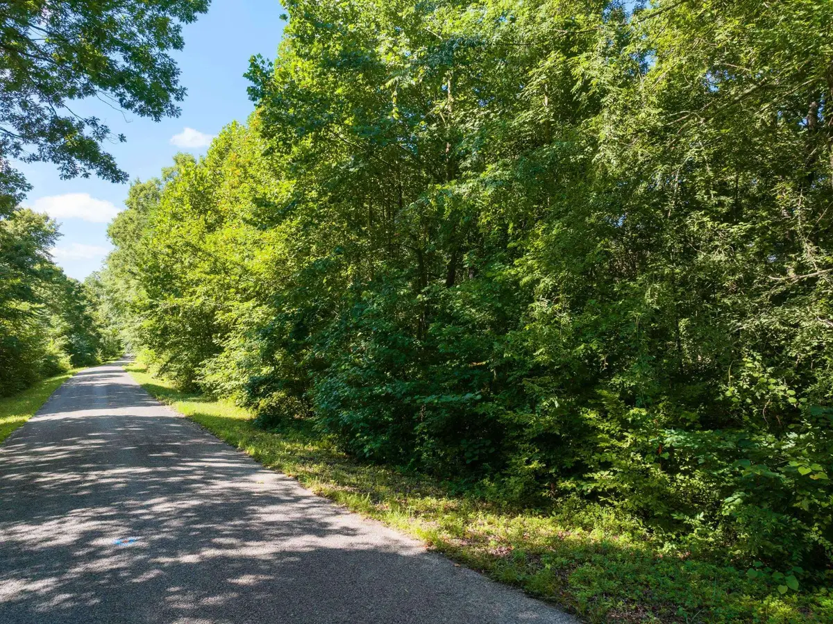 0 PARRISH RD, Linden, TN 37096 - Image #1