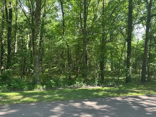 0 OLD CREEK RD, Memphis, TN 38125 - Image #2