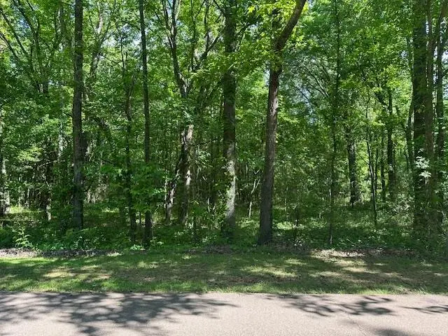 0 OLD CREEK RD, Memphis, TN 38125 - Image #3