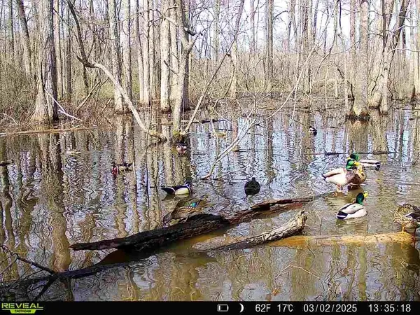 483 PHILLIPS 131 RD, Marvell, AR 72366