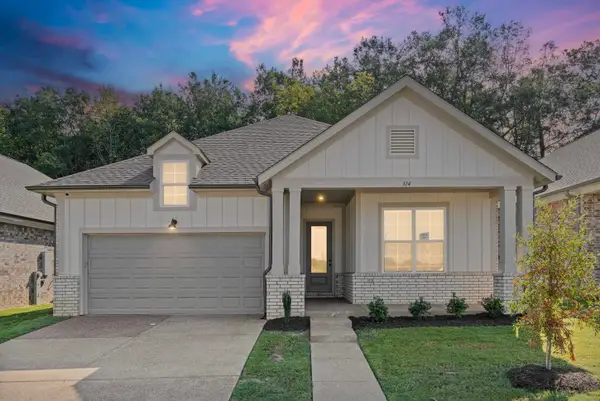 314 DELPHINIUM DR E, Cordova, TN 38018