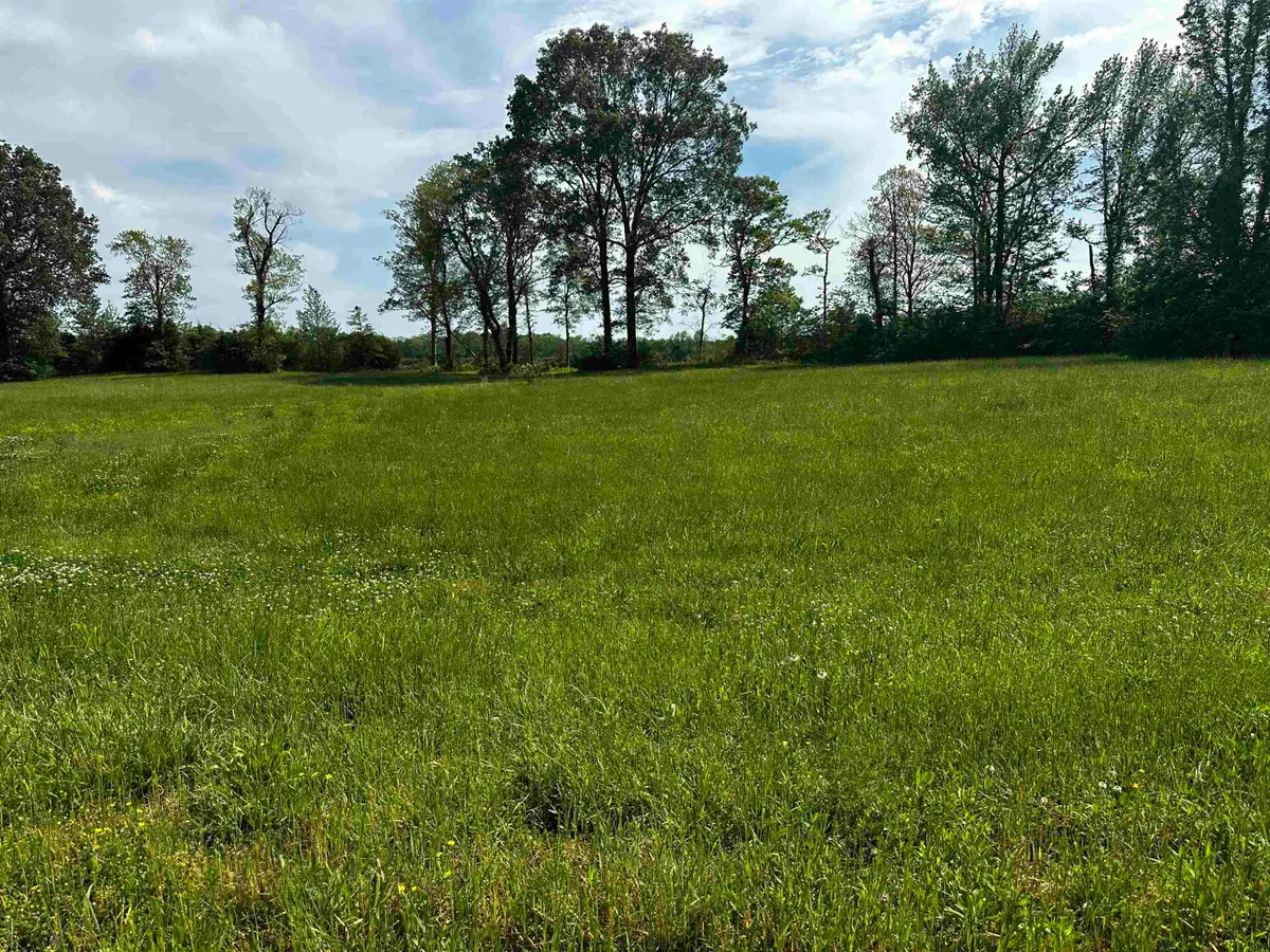 LOT 29 CATFISH LN, Crump, TN 38327 - Image #1