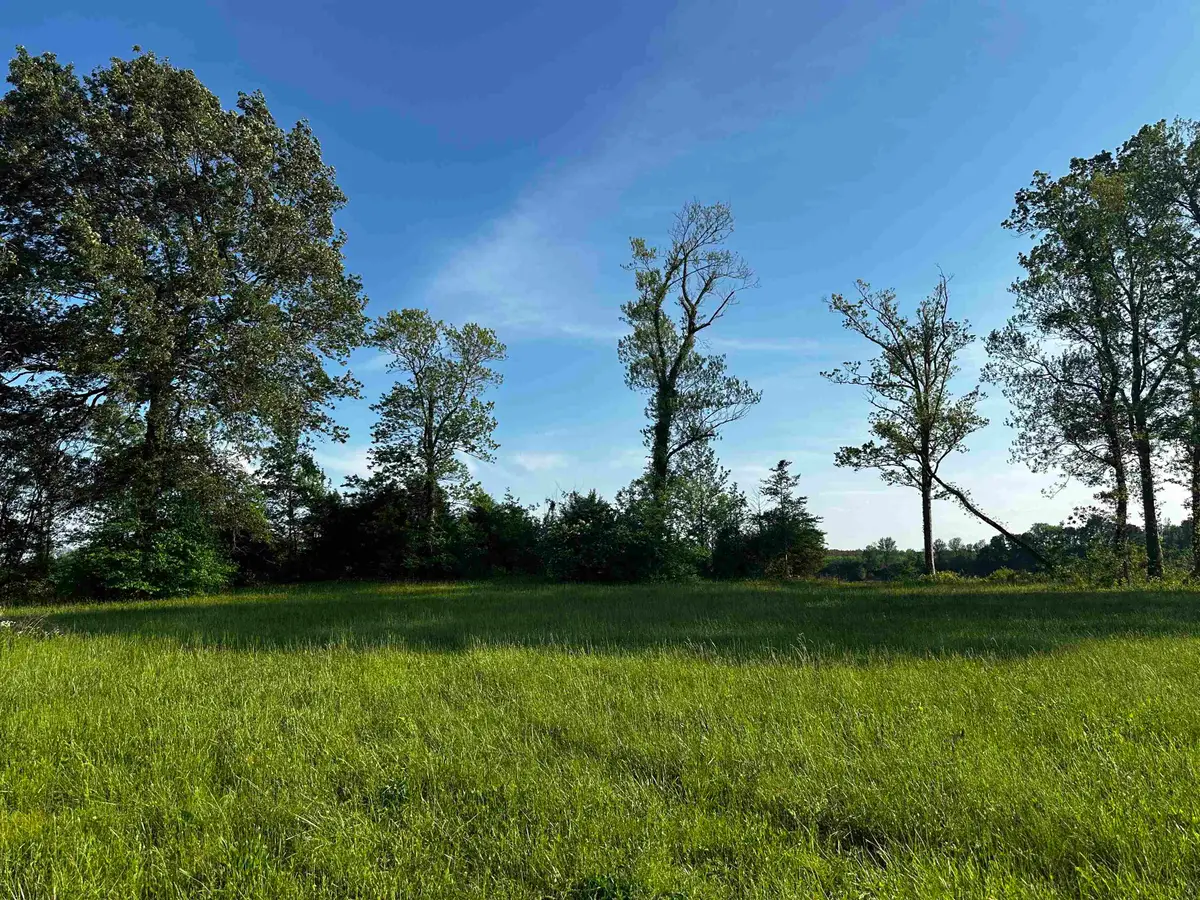 LOT 31 CATFISH LN, Crump, TN 38327 - Image #1