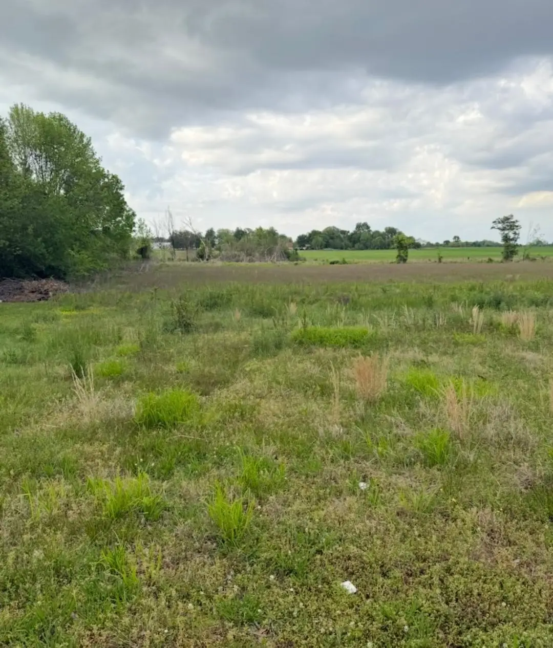 0 SWOOP RD, Drew, MS 38737 - #1