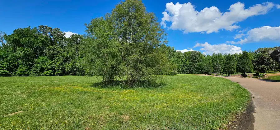 272 MONTEREY FARMS CV, Collierville, TN 38017 - Image #3