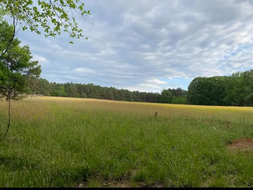 330 LICK CREEK RD, Michie, TN 38357 - Image #2