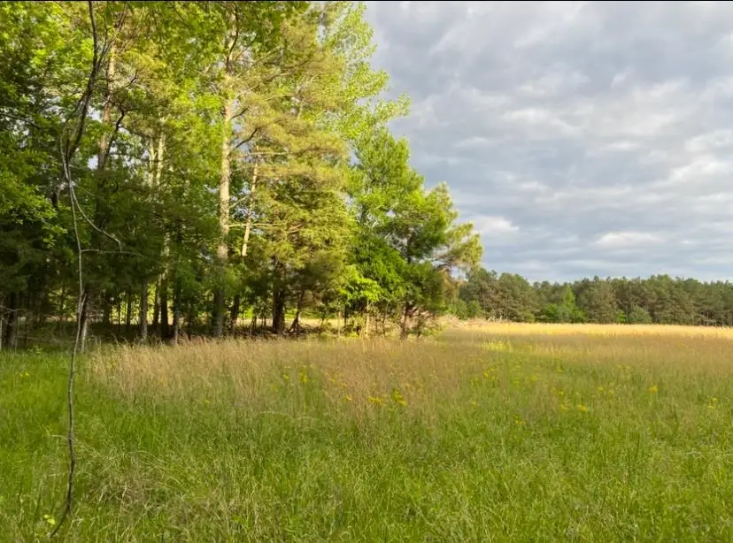 330 LICK CREEK RD, Michie, TN 38357 - Image #3