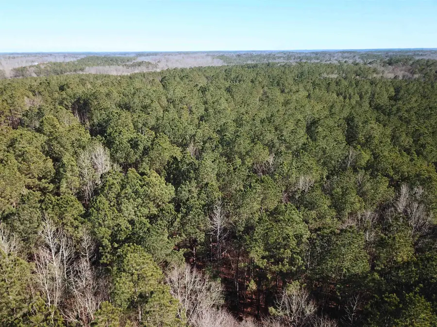 COUNTY 4141 RD, New Site, MS 38859 - Image #2