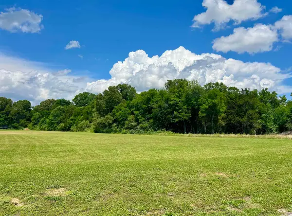 LOT 17 CORDOVA CV, Savannah, TN 38372