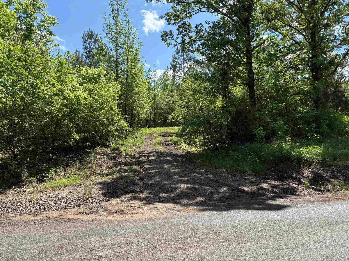 435 DUSCOE RD, Somerville, TN 38068 - Image #1