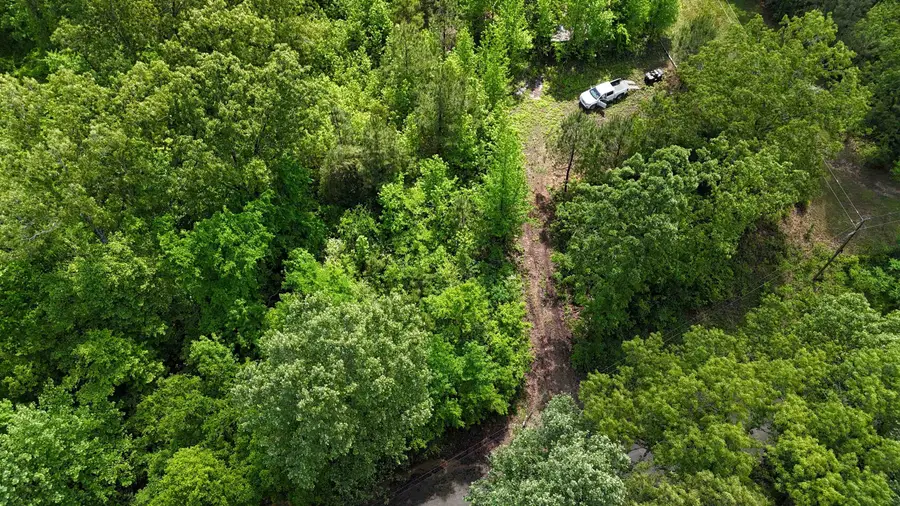 435 DUSCOE RD, Somerville, TN 38068 - Image #2