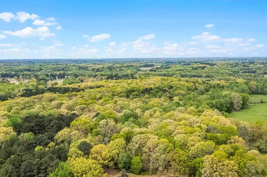 0 412 HWY E, Lexington, TN 38351 - Image #3