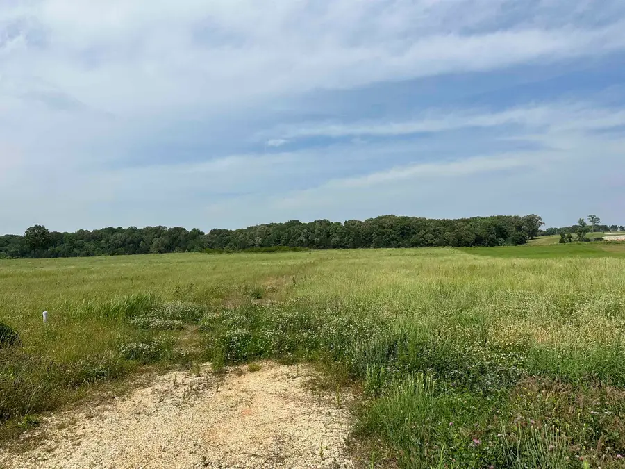 LOT 80 CRAVENS RD, Savannah, TN 38372-9999 - Image #3