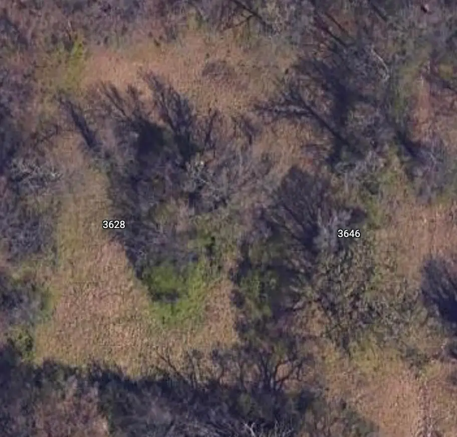 3646 DEMOCRAT RD, Memphis, TN 38118 - Image #1