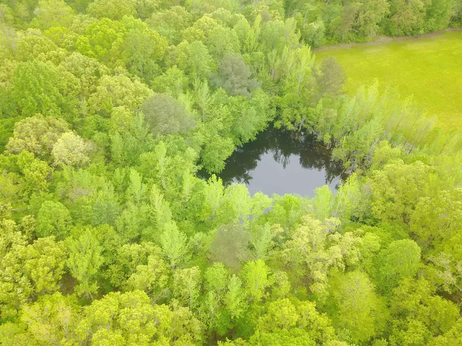 1 WOODS RD, Adamsville, TN 38310 - Image #2
