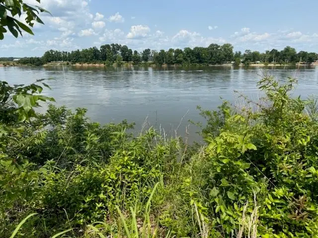 330 NASH LANDING LN, Counce, TN 38326 - Image #2