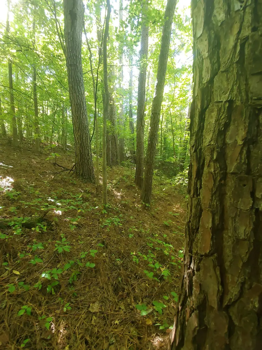 0000 BOWERS RD, Munford, TN 38053 - Image #3