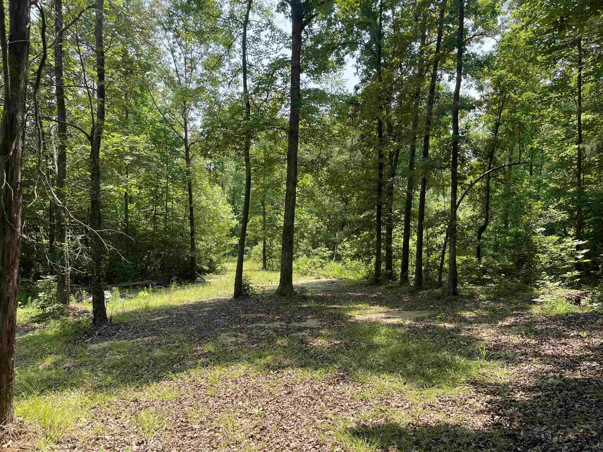 2460 421 HWY, Sardis, TN 38371 - Image #1